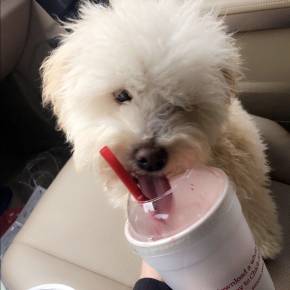 Meet your Posher, Kaylee - Picture 1 of 1